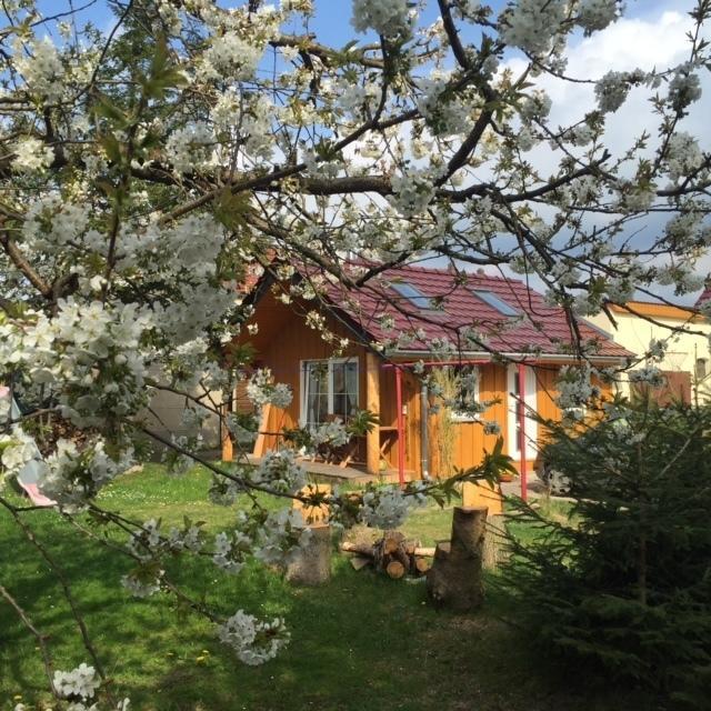 Ferienwohnung Niesky Δωμάτιο φωτογραφία